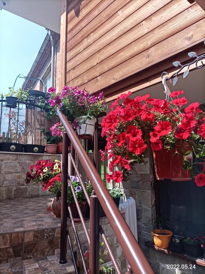 Hotel Damaris Sozopol Esterno foto